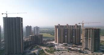 1 BHK Apartment For Resale in Yamuna Expressway Greater Noida 5996135