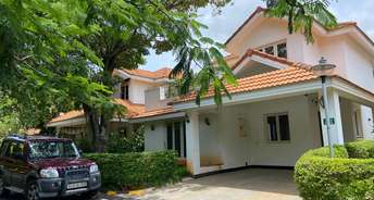 3.5 BHK Villa For Rent in Mulberry Meadows Devanahalli Bangalore 5996570