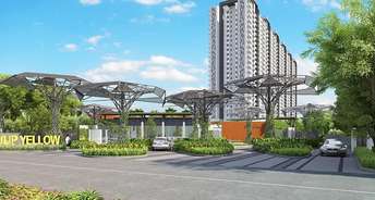3 BHK Apartment For Resale in Tulip Yellow Sector 69 Gurgaon 5997250