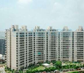 3 BHK Apartment For Resale in Central Park II Bellevue Sector 48 Gurgaon 5997746