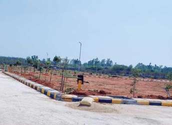 Plot For Resale in Chitkul Hyderabad  6000759