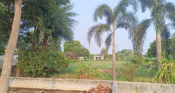 Commercial Land 3318 Sq.Yd. For Resale In Malerna Faridabad 6002491