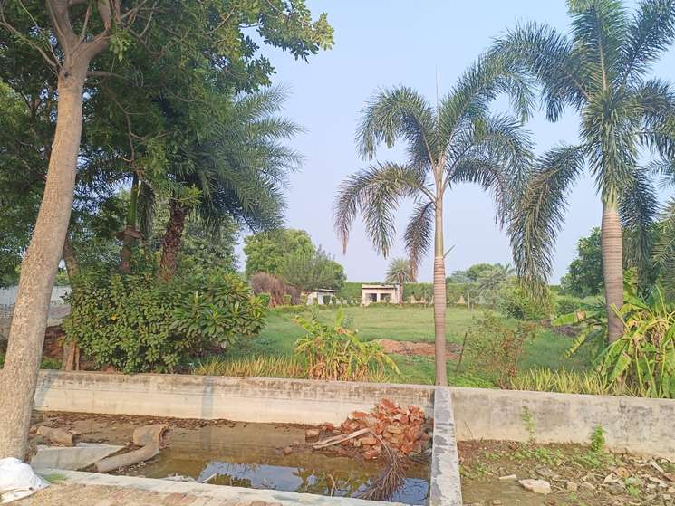 Commercial Land 3318 Sq.Yd. in Malerna Faridabad