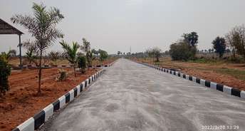  Plot For Resale in Choutuppal Hyderabad 6002850