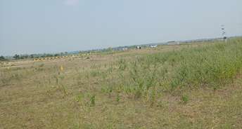  Plot For Resale in Narayankhed Hyderabad 6003845
