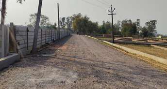  Plot For Resale in Amethi Lucknow 6004359