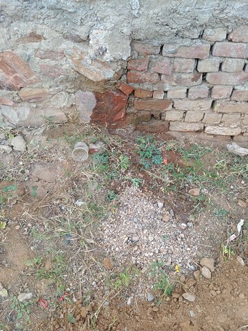  Warehouse For Rent in Mansarovar