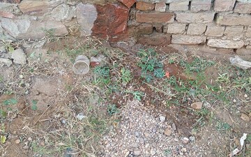 Warehouse For Rent in Mansarovar