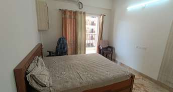 2 BHK Apartment For Resale in SKA Metro Ville Gn Sector Eta ii Greater Noida 6006263