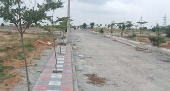  Plot For Resale in Nandigama Hyderabad 6006971