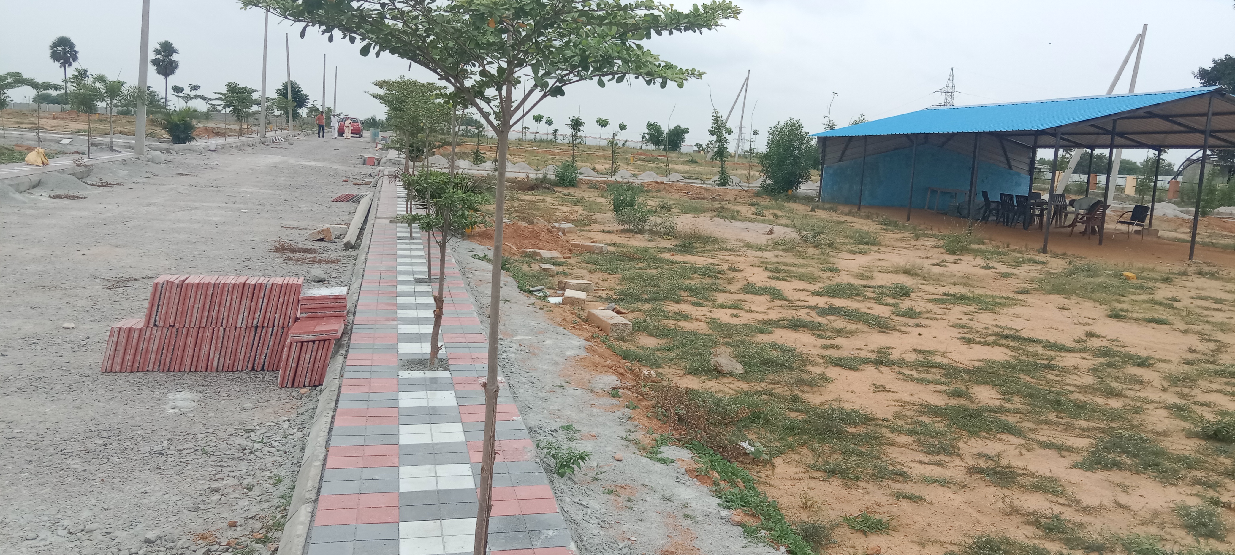 Plot For Resale in Padmarao Nagar Hyderabad  6006978