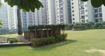 2 BHK Apartment For Resale in MGH Mulberry County Sector 70 Faridabad 6007773