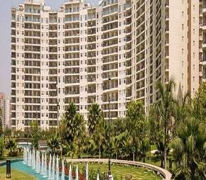 4 BHK Apartment For Resale in Central Park Resorts Sector 48 Gurgaon  6008013