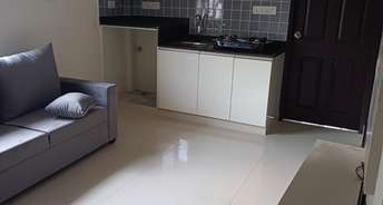 1 BHK Apartment For Rent in Frazer Apartments Frazer Town Bangalore 6008876
