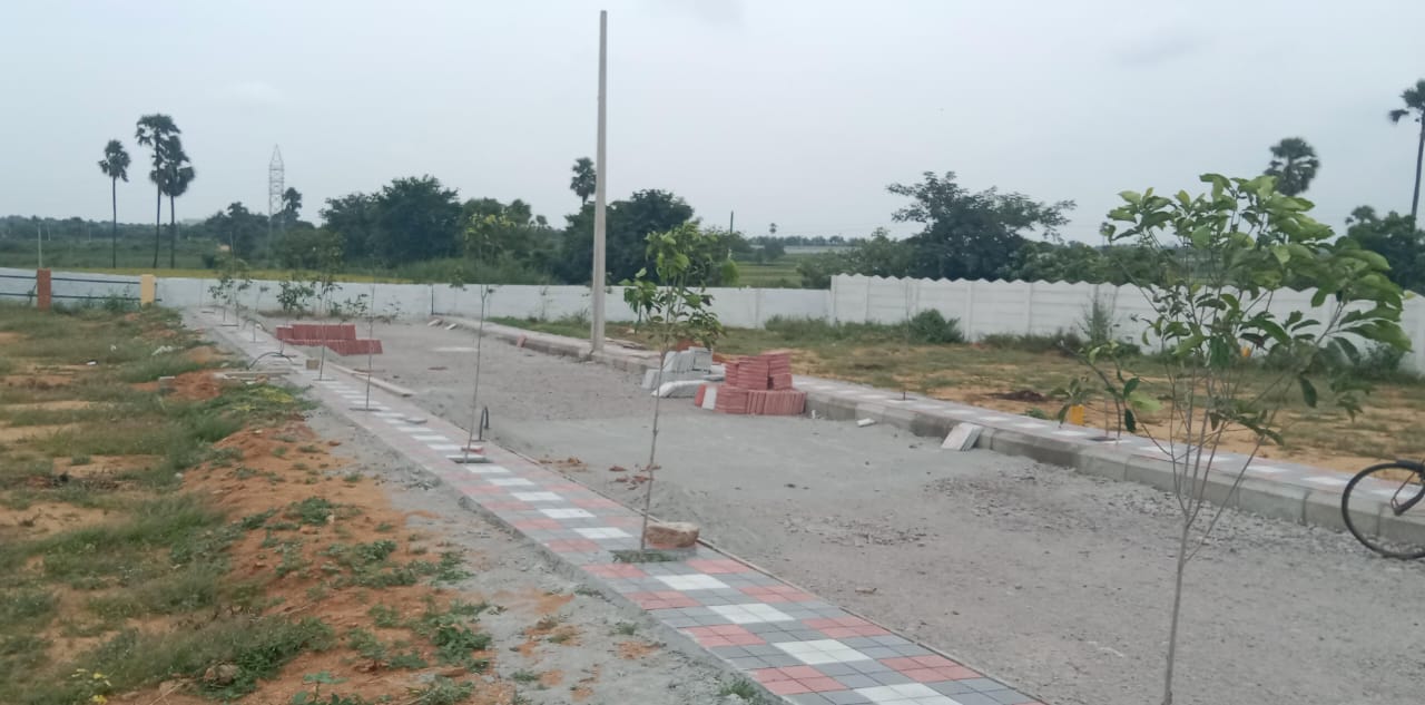 Resale 170 Sq.Yd. Plot in Dollar Hills Hyderabad 6009333