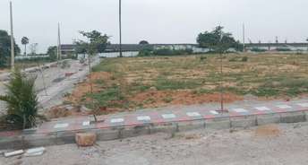  Plot For Resale in Masab Tank Hyderabad 6009341