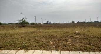  Plot For Resale in Mullanpur Chandigarh 6009883