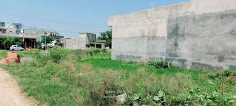 Plot For Resale in Chinhat Lucknow  6010542