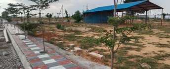  Plot For Resale in Nizampet Hyderabad 6013870