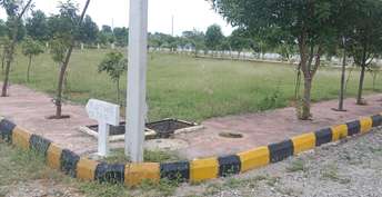 Plot For Resale in Amangal Hyderabad  6015181