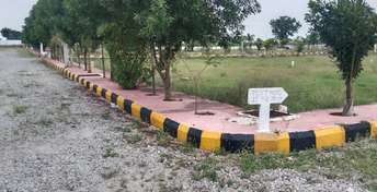  Plot For Resale in Amistapur Hyderabad 6016236