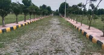 Plot For Resale in Anajpur Hyderabad 6016256