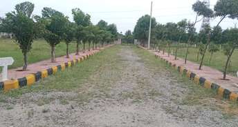  Plot For Resale in Appa Junction Hyderabad 6016317