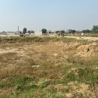  Plot For Resale in Amolik Aster Woods Sector 98 Faridabad 6016858
