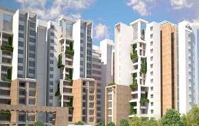3 BHK Apartment For Resale in Prisha Orchids Thanisandra Bangalore 6018054