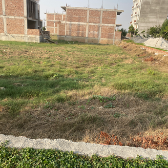  Plot For Resale in Sector 98 Faridabad 6018097