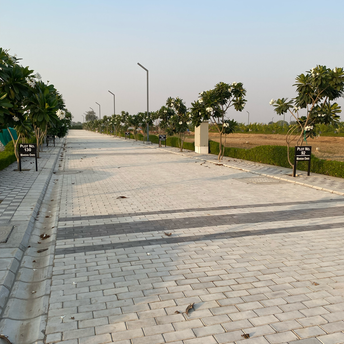 Plot For Resale in Mansha Oaks Sector 98 Faridabad  6018534