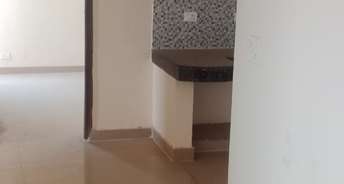 1 BHK Apartment For Resale in Sector p4 Greater Noida 6019381