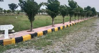  Plot For Resale in Bhoothpur Hyderabad 6019854