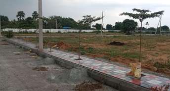  Plot For Resale in Brahmanapalle Hyderabad 6019879