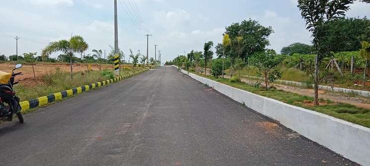 Open Plots For Sale In Pharmacity - Hyderabad