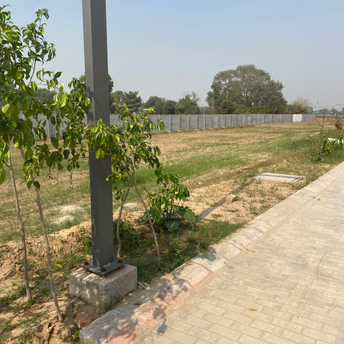  Plot For Resale in Adore Smart City Sector 97 Faridabad 6020718
