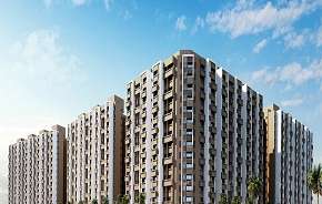 2 BHK Apartment For Resale in Evershine Amavi 303 Phase 1 Virar East Mumbai 6021199