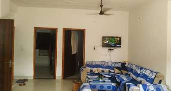2 BHK Independent House For Rent in Sector Rho 2 Greater Noida 6021670