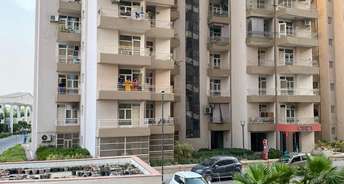 2.5 BHK Builder Floor For Resale in Gaur City Arcade Noida Ext Sector 16c Greater Noida 6023116