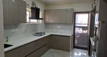 3 BHK Apartment For Rent in Kondakal Hyderabad 6023140