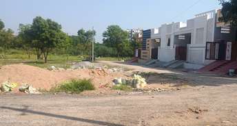  Plot For Resale in Narapally Hyderabad 6023889