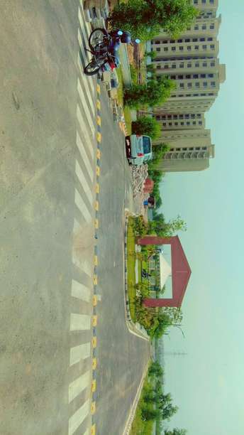 Commercial Land 172 Acre For Resale in Sirsi Road Jaipur  6025579