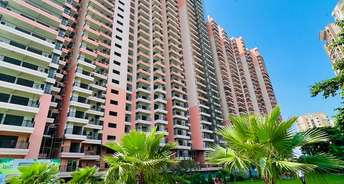 2 BHK Apartment For Resale in SKA Divya Towers Noida Ext Sector 16 Greater Noida 6027016