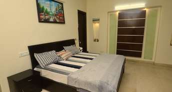 Studio Villa For Rent in Dlf Cyber City Gurgaon 6027963