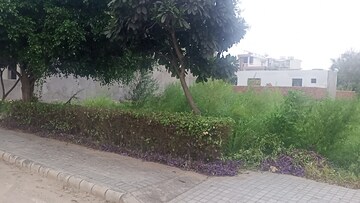  Plot For Sale in Mullanpur