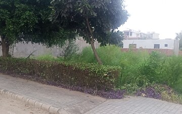 Plot For Sale in Mullanpur