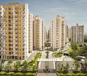 4 BHK Apartment For Resale in Orris Aster Court Premier Sector 85 Gurgaon 6031540