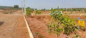  Plot For Resale in Nagsanpally Hyderabad 6031571