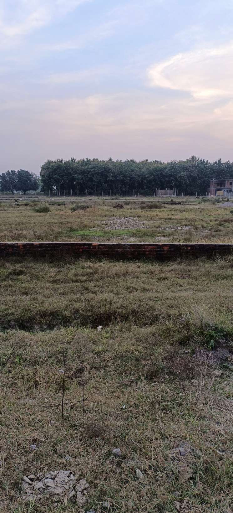 Commercial Land 5242 Sq.Ft. in Nagram Road Lucknow