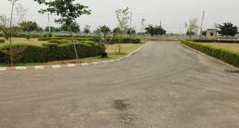 Commercial Land 393 Acre For Resale In Renwal Manji Jaipur 6032436